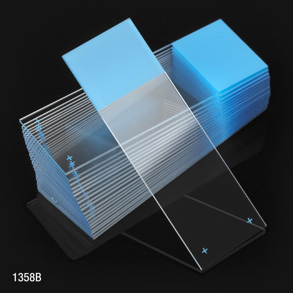 Globe Scientific Microscope Slides, Diamond White Glass, 25 x 75mm, Charged, 90? Ground Edges, Blue Frosted, 72/Box Image
